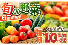 【6回定期便】野菜 定期便 地元農家さんが収穫した旬のお野菜  10種詰め合わせ / 野菜 定期便 やさいていきびん 旬 新鮮 農家直送 野菜定期便 / 南島原市 / ミナサポ  [SCW046]