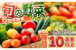  野菜 定期便 やさいていきびん 旬 新鮮 農家直送