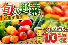 【12回定期便】地元農家さんが収穫した旬のお野菜  10種詰め合わせ / 野菜 旬 新鮮 採れたて 季節野菜 旬野菜 農家直送 野菜定期便 定期便 / 南島原市 / ミナサポ  [SCW047]