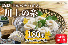 【宮内庁献上品】島原手延べそうめん 川上の糸 250g×36袋（9kg） / そうめん 素麺 乾麺 包装有 乾麺 ギフト 贈答用 お祝い 祝 化粧箱 / 南島原市 / 川上製麺 [SCM056]