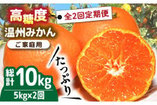 【2025年12月〜発送】【大満足！ 2回 定期便 】温州みかん 約5kg / みかん 定期便 ミカン 蜜柑 長崎県産みかん 糖度 果物 くだもの 果物定期便 フルーツ ふるーつ フルーツ定期便 旬 家庭用 5kg / 南島原市 / 南島原果物屋 [SCV017]