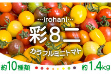 ミニトマト 彩８ニ（イロハニ）約10種類 合計約1.4kg / トマト 夏野菜 野菜 旬 食べ比べ / 産地直送 安心 安全 彩り / 南島原市 / 植木農園 [SBL002] 