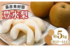 【2024年8月〜発送】【甘味の中にほのかな酸味！】豊水梨 約5kg (約12玉〜14玉)  / 梨 なし ナシ フルーツ 果物 デザート 産地直送 期間限定 / 南島原市 / 藤原果樹園 [SBV002]