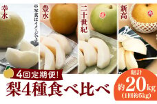 【2025年7月〜発送】【4回 定期便 ！南島原の 梨 を 食べ比べ ！】幸水 豊水 二十世紀 新高 / 梨 なし フルーツ 果物 フルーツ定期便 数量限定 産地直送 期間限定 / 南島原市 / 藤原果樹園 [SBV005]