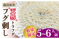 【2026年3月下旬〜発送】【南島原産】天然トラフグ フグ刺し（5〜6人前） / ふぐ フグ とらふぐ トラフグ 刺身 河豚 ふぐ刺し / 南島原市 / ながいけ [SCH040]