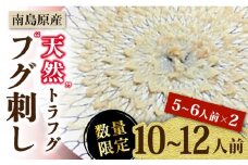【2026年3月下旬〜発送】【南島原産】天然トラフグ フグ刺し（10〜12人前） / ふぐ フグ とらふぐ トラフグ 刺身 河豚 ふぐ刺し / 南島原市 / ながいけ [SCH041]