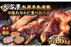 希少部位！島原半島産豚 中落ちカルビ 大容量 食べ比べセット 合計3.6kg / 豚 豚肉 カルビ 味付け肉 フライパン 焼くだけ おかず 焼肉 / 南島原市 / はなぶさ [SCN132]