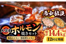 【12回 定期便 】 ホルモン 塩焼き・ニンニク味噌焼きセット 大容量セット 総計14.4kg / ほるもん 肉 豚肉 直腸 豚テッポウ 希少部位 国産 / 南島原市 / はなぶさ [SCN143]