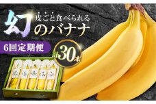 【6回定期便】【皮ごと食べられる！】なかなかバナナ 5本〈7月〜9月は発送停止〉/ バナナ フルーツ 果物 定期便 フルーツ定期便 / 南島原市 / ミナサポ [SCW048]