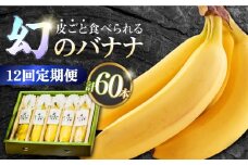 【12回定期便】【皮ごと食べられる！】なかなかバナナ 5本〈7月〜9月は発送停止〉 / バナナ フルーツ 果物 定期便 フルーツ定期便 / 南島原市 / ミナサポ [SCW049]