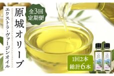 【3回定期便】原城オリーブ エクストラヴァージン オイル 100ml 2本 / 調味料 油 オリーブオイル オリーブ / 南島原市 / ミナサポ [SCW050]