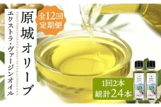 【12回定期便】原城オリーブ エクストラヴァージン オイル 100ml 2本 / 調味料 油 オリーブオイル オリーブ / 南島原市 / ミナサポ [SCW051]