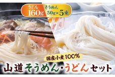 国産小麦100％ 山道そうめん・うどんセット / 50g×5束・160g / そうめん 島原そうめん ウドン 饂飩 手延べ 麺 素麺 / 南島原市 / そうめんの山道 [SDC010]
