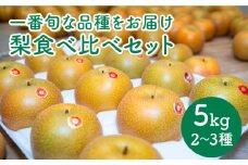【2025年8月下旬〜発送】梨 2種以上 食べ比べ セット 5kg / 豊水 秋麗 菊水 あきづき / なし フルーツ 果物  / 南島原市 / 松尾観光梨園[SCX001]