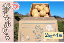 【プレゼントにいかが？】長崎県産 春じゃがいも 約2kg×4箱 / じゃがいも 新じゃが 野菜 春野菜 産地直送 ホクホク 期間限定 贈答 いいだ農園 / 南島原市 / ミナサポ [SCW053]