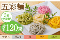 【3回定期便】五彩麺 セット 40束 / そうめん 素麺 黒ごま 梅 うに よもぎ / 麺 乾麺 食べ比べ 詰め合わせ カラフル / 南島原市 / のうち製麺 [SAF027]