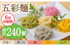 【6回定期便】五彩麺 セット 40束 / そうめん 素麺 黒ごま 梅 うに よもぎ / 麺 乾麺 食べ比べ 詰め合わせ カラフル / 南島原市 / のうち製麺 [SAF028]