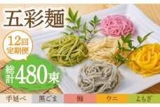 【12回定期便】五彩麺 セット 40束 / そうめん 素麺 黒ごま 梅 うに よもぎ / 麺 乾麺 食べ比べ 詰め合わせ カラフル / 南島原市 / のうち製麺 [SAF029]