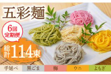 【6回定期便】五彩麺 セット 19束 / そうめん 素麺 黒ごま 梅 うに よもぎ / 麺 乾麺 食べ比べ 詰め合わせ カラフル / 南島原市 / のうち製麺 [SAF031]