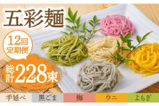 【12回定期便】五彩麺 セット（19束）/ そうめん 素麺 黒ごま 梅 うに よもぎ / 麺 乾麺 食べ比べ 詰め合わせ カラフル / 南島原市 / のうち製麺 [SAF032]