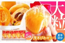 【2025年5月上旬〜発送】【夏季限定】茂木びわ ゼリー 5個入 / びわ ビワ ゼリー フルーツ 果物 ギフト 贈答 お中元 / 南島原市 / 本田屋かすてら本舗 [SAW039]