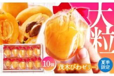 【2025年5月上旬〜発送】【夏季限定】茂木びわ ゼリー 10個入 / びわ ビワ ゼリー びわゼリー ぜりー びわぜりー びわ フルーツ 果物 ギフト 贈答 お中元 / 南島原市 / 本田屋かすてら本舗 [SAW040]