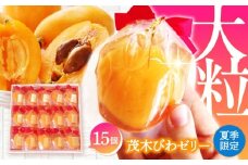 【2025年5月上旬〜発送】【夏季限定】茂木びわ ゼリー 15個入 / びわ ビワ ゼリー フルーツ 果物 ギフト 贈答 お中元 / 南島原市 / 本田屋かすてら本舗 [SAW041]