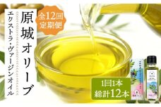 【12回定期便】 原城 オリーブ エクストラ・ヴァージンオイル  100ml 1本 / オリーブオイル オイル 油 調味料 / 南島原市 / ミナサポ [SCW056]