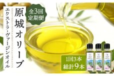 【3回定期便】 原城 オリーブ エクストラ・ヴァージンオイル  100ml 3本 / オリーブオイル オイル 油 調味料 / 南島原市 / ミナサポ [SCW057]