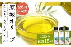 【6回定期便】 原城 オリーブ エクストラ・ヴァージンオイル  100ml 3本 / オリーブオイル オイル 油 調味料 / 南島原市 / ミナサポ [SCW058]