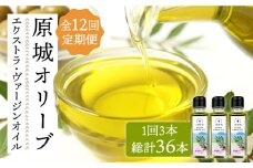 【12回定期便】 原城 オリーブ エクストラ・ヴァージンオイル  100ml 3本 / オリーブオイル オイル 油 調味料 / 南島原市 / ミナサポ [SCW059]