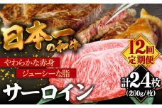 【12回定期便】【やわらかな赤身と口どけまろやかな脂身】長崎和牛 サーロインステーキ 400g 2人前（200g×2枚）/ 牛肉 ステーキ サーロイン / 南島原市 / ふるさと企画 [SBA034] ステーキ すてーき サーロイン さーろいん サーロインステーキ さーろいんすてーき 和牛 わぎゅう 焼肉 焼き肉 BBQ バーベキュー 牛肉 ぎゅうにく