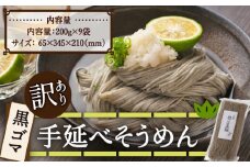 【訳あり】手延べ黒ごま素麺 200g×9袋 /  麺 乾麺 素麺 そうめん 黒ごま /南島原市 / のうち製麺 [SAF034]