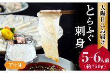 2025年12月31日大晦日にお届け！ 長崎県産 とらふぐ 刺身 5～6人前 アラ付き  / ふぐ フグ 河豚 トラフグ ふぐ刺し てっさ 冷蔵 着日指定 年内配送 / 南島原市 / 大和庵 [SCJ027]