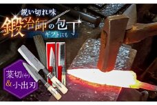 【小回りが利いて便利！】菜切包丁（中）× 小出刃包丁 2本セット / 包丁 ほうちょう 包丁 セット 和包丁 万能包丁 左利き おすすめ 人気 包丁 / 南島原市 / 重光刃物鍛造工場 [SEJ009]