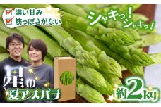 【2025年9月～発送】【数量限定】【星のアスパラ】厳選 グリーン アスパラガス 約2kg / アスパラ アスパラガス 野菜 / 南島原市 / ほしのYA [SEY002]