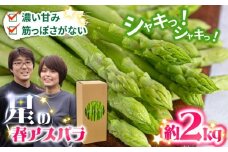 【2026年3月～発送】【数量限定】【星のアスパラ】厳選 グリーン アスパラガス 約2kg / アスパラ アスパラガス 野菜 / 南島原市 / ほしのYA [SEY002]