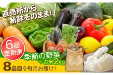【6回定期便】直売所より発送！お米と季節の野菜セット 8品目 / 米 こめ 白米 野菜定期便 やさい定期便 野菜 やさい 旬 詰め合わせ / 南島原市 / ながさき南部生産組合 [SBW014]