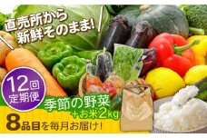 【12回定期便】直売所より発送！お米と季節の野菜セット 8品目 /  米 こめ 白米 野菜定期便 やさい定期便 野菜 やさい 旬 詰め合わせ / 南島原市 / ながさき南部生産組合 [SBW015]