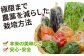 野菜 定期便