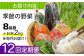 野菜 定期便