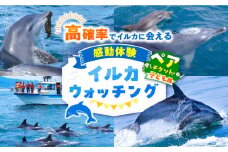 南島原 イルカウォッチング  子ども用 ペアチケット / チケット ちけっと 体験型 観光チケット いるか イルカ イルカ体験 貸し切り いるか イルカ / 南島原市 / 南島原イルカウォッチング [SAE004]