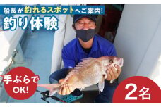 南島原 朝活 釣り船体験 ペアチケット / チケット ツリ ちけっと つり 釣り つり ツリ 観光 ツリ 体験型 体験 / 南島原市 / 南島原イルカウォッチング [SAE005]