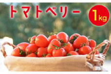 【2025年12月～発送】トマトベリー 1kg / ミニトマト トマト トマトベリー とまと 野菜 サラダ プチトマト / 南島原市 / 長崎県農産品流通合同会社 [SCB029]