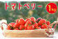 トマト ミニトマト 野菜 やさい 旬の野菜 新鮮な野菜 地元産野菜 野菜セット 旬のやさい 新鮮なやさい 地元産やさい
