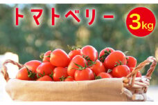 【2025年12月～発送】トマトベリー 3kg / ミニトマト トマト トマトベリー とまと 野菜 サラダ プチトマト / 南島原市 / 長崎県農産品流通合同会社 [SCB030]