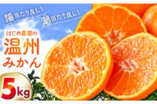 【2024年10月中旬〜発送】こだわりの温州みかん 約5kg / みかん フルーツ 柑橘 蜜柑 ミカン 果物 くだもの / 南島原市 / 長崎県農産品流通合同会社 [SCB036]