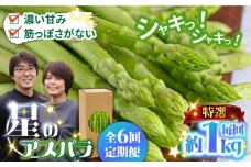 【6回定期便】【星のアスパラ】春＆夏 の グリーン アスパラガス 約1kg / アスパラ 春野菜 野菜 / 南島原市 / ほしのYA [SEY011]