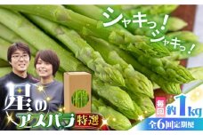 【6回定期便】【星のアスパラ】春＆夏 の グリーン アスパラガス 約1kg / アスパラ 春野菜 野菜 / 南島原市 / ほしのYA [SEY011]