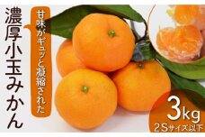 【2025年10月下旬～発送】【甘味が凝縮！】 濃厚 小玉みかん 3kg 温州みかん 2Sサイズ以下 / みかん 小玉 フルーツ 果物 くだもの 柑橘 蜜柑 ミカン / 南島原市 / 長崎県農産品流通合同会社 [SCB057]
